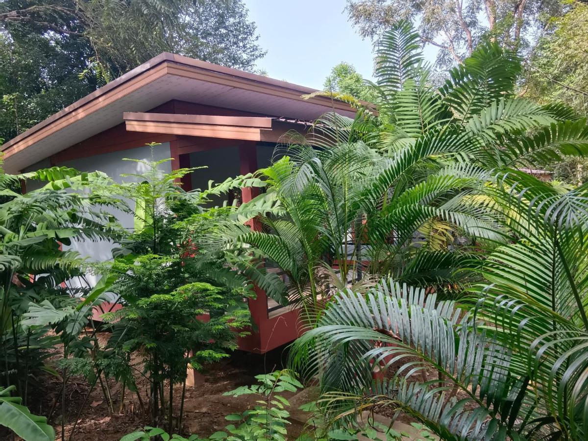 Khao Sok River & Jungle Bungalow Khao Sok National Park Exterior foto