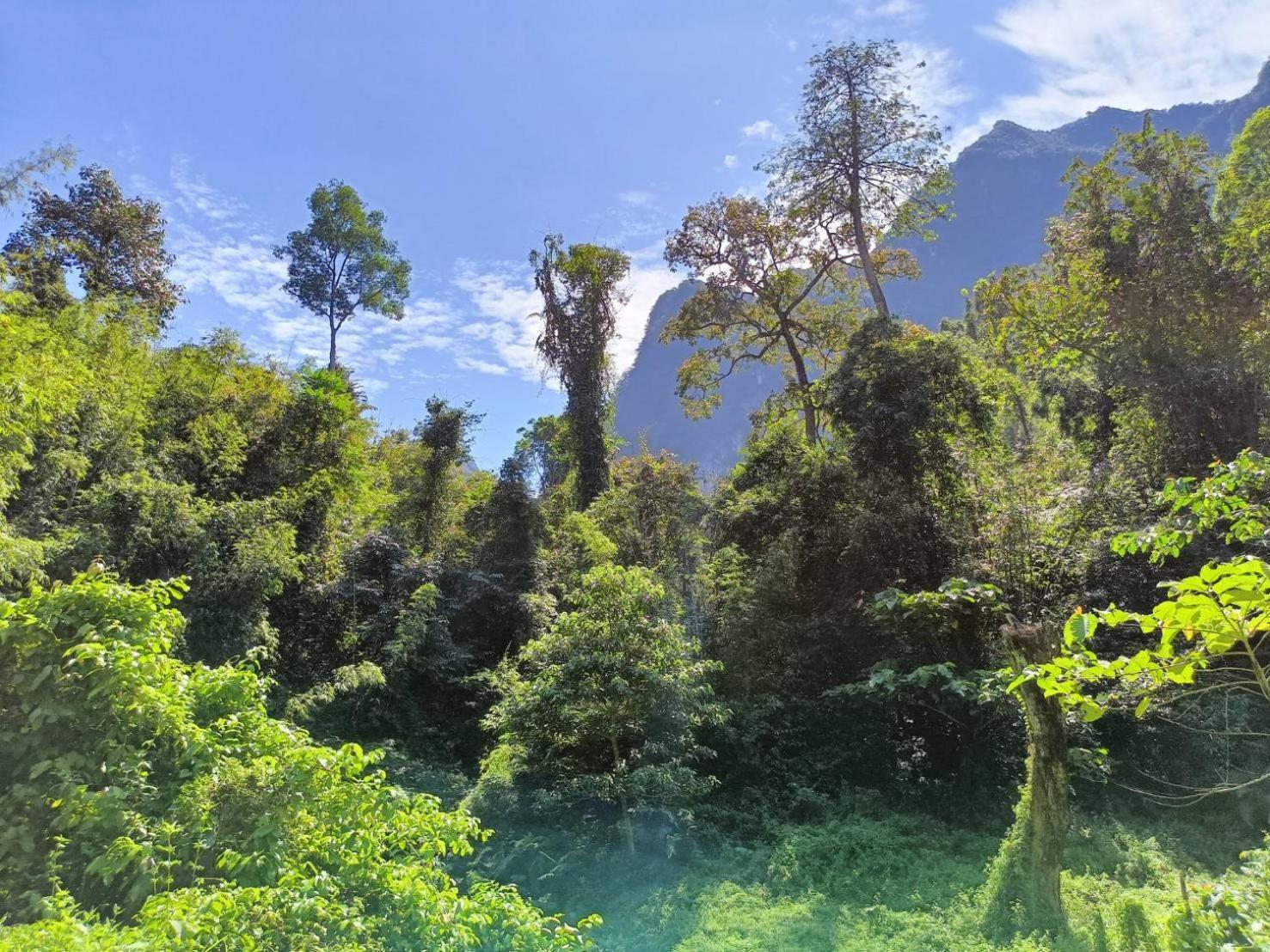 Khao Sok River & Jungle Bungalow Khao Sok National Park Exterior foto